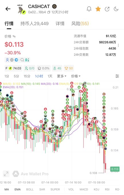 A cryptocurrency chart for 'CASHCAT' showing a price of $0.113 (-30.9%) with a market cap of $1.12亿 and 24h volume of $8226.68万, displayed on a Chinese trading interface.