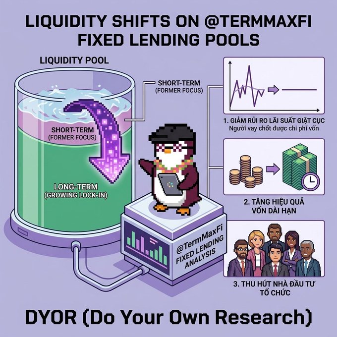 A pixel-art infographic by @TermMaxFi illustrating liquidity shifts in fixed lending pools, showing funds moving from short-term to long-term lock-in pools, highlighting three benefits: reduced interest rate volatility risk, improved long-term capital efficiency, and attraction of institutional investors, with a "DYOR (Do Your Own Research)" disclaimer at the bottom.