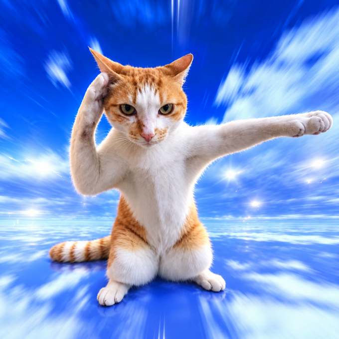 An orange and white cat strikes a dynamic pose with one arm raised against its head and the other extended outward, set against a vibrant blue sky and ocean background.