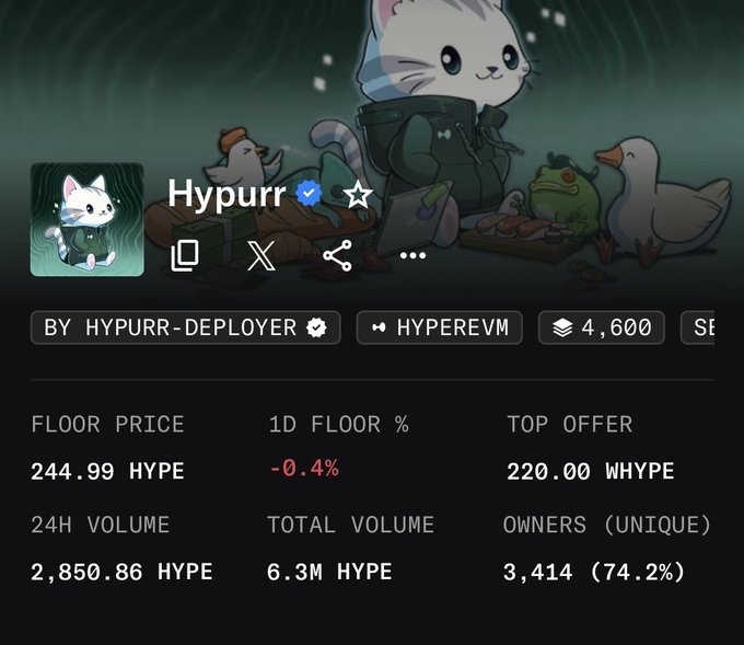 Screenshot of an NFT collection called 'Hypurr' on HyperEVM, showing a floor price of 244.99 HYPE, 24H volume of 2,850.86 HYPE, and 3,414 unique owners.