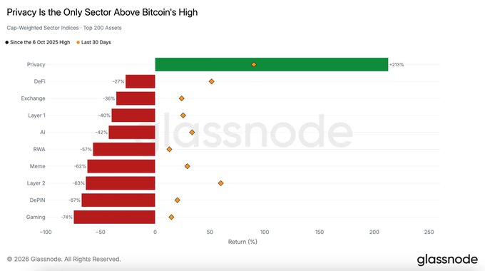 A Glassnode chart titled "Privacy Is the Only Sector Above Bitcoin's High" showing cap-weighted sector indices from October 6, 2025 high, with Privacy up +213% while all other sectors (DeFi, Exchange, Layer 1, AI, RWA, Meme, Layer 2, DePIN, Gaming) show declines from -27% to -74%.