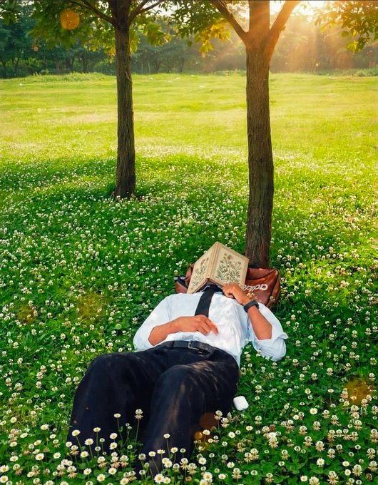 A person dressed in a white shirt, black tie, and dark trousers lies in a field of white daisies under trees, reading a book with the cover held over their face, creating an artistic, peaceful scene.