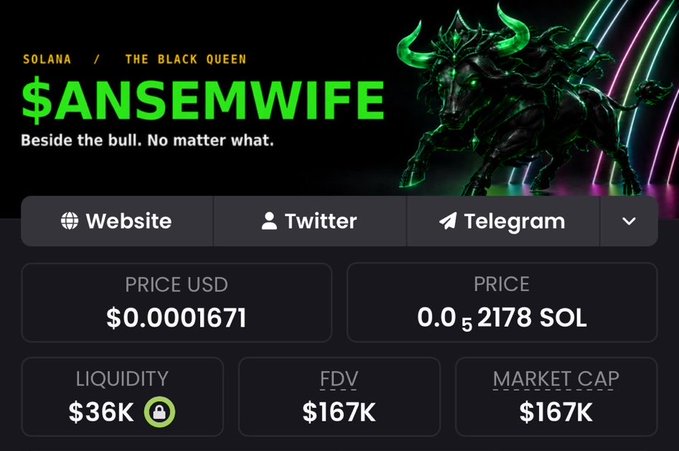 A cryptocurrency token page for $ANSEMWIFE on the Solana network, subtitled "THE BLACK QUEEN" with the tagline "Beside the bull. No matter what," showing a price of $0.0001671 and a market cap of $167K.