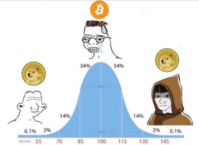 A meme showing a normal distribution bell curve with IQ scores, topped with a crying Bitcoin logo and featuring Dogecoin coins next to Wojak and Chad meme faces.