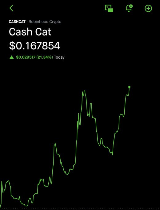 A Robinhood Crypto app screenshot showing the 'Cash Cat' (CASHCAT) token at $0.167854, up $0.029517 (21.34%) Today, with a green line chart displaying price action.