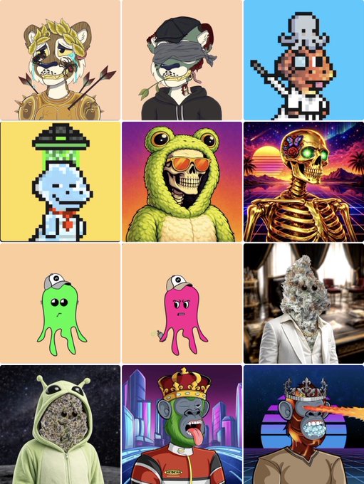 A 4x3 grid showcases various NFT-style profile pictures (PFPs), including animals with laurel wreaths, pixel art characters like a mushroom-headed figure, skeletal figures in retro and synthwave aesthetics, and monkeys in frog and stone-textured hoodies.