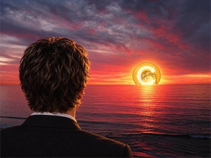 A man in a suit gazes out at a dramatic ocean sunset featuring a coin-like emblem emblazoned within the sun, symbolizing the "$LOFI" memecoin project reaching "250M+" market cap. The lone figure contemplating the glowing token over the horizon reflects the post's theme of community-driven resilience and visionary leadership in building a meme coin culture from the ground up.