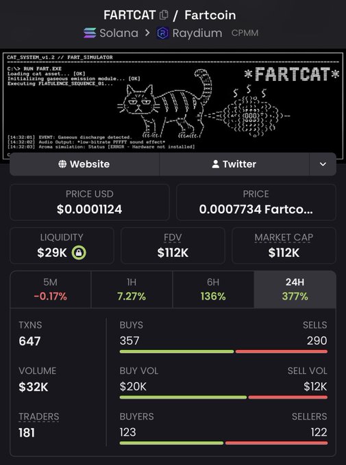A cryptocurrency trading page for 'FARTCAT / Fartcoin' on Solana/Raydium CPMM, showing price of $0.0001124, FDV of $112K, market cap of $112K, with 24H change of 377%, 647 transactions, 181 traders, and ASCII art of a farting cat labeled 'FARTCAT'.