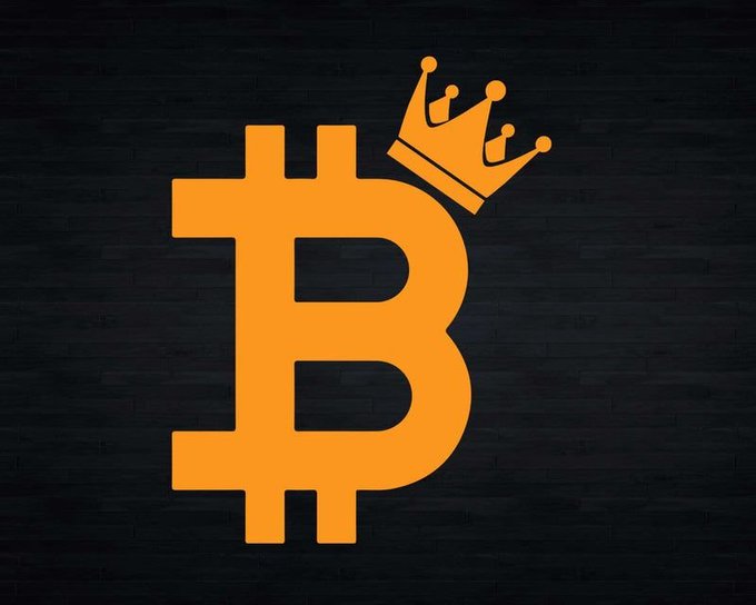 A glowing orange Bitcoin (₿) symbol adorned with a golden crown sits against a dark brick background, visually reinforcing the post's claim that $BTC reigns supreme—up +28% over two years while mid-cap altcoins have plummeted -74% and Ethereum hovers at breakeven, cementing Bitcoin's "king of crypto" status.