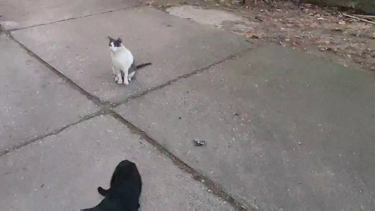 None