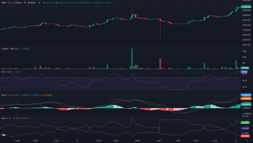 The image is a screenshot of two stock market graphs that are displayed side by side. One of them has a dark blue color, while the other one is painted in shades of green. The two stock price charts show an upward trend for one asset, with the lines on both charts pointing upwards, indicating potential upward movement. There appears to be another chart or a comparison between these two assets displayed below it. This visual representation makes analyzing and understanding market trends easier by providing a clear and organized view of the data.