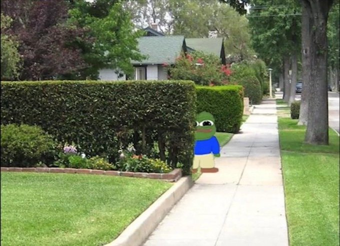 A digitally edited image of a Pepe the Frog character wearing a blue shirt walking on a suburban sidewalk lined with hedges and houses.