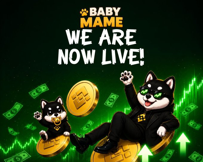 The image is a promotional graphic announcing "$BABYMAME" is now live, featuring two cartoon Shiba Inu dogs in black outfits and sunglasses posing on gold coins against a green stock chart background with rising arrows and dollar bills. It matches the post's announcement of the token's PancakeSwap launch on BNB Chain, visually celebrating the transition from presale to open market trading with the contract address (0x805343243OA9E0171271bA785716f23DD2fa6666) listed in the details.