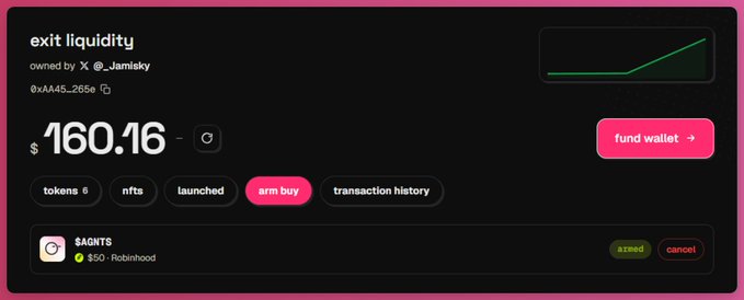 A cryptocurrency dashboard for 'exit liquidity' owned by @_Jamisky, displaying a balance of $160.16 and featuring a pink 'arm buy' button.
