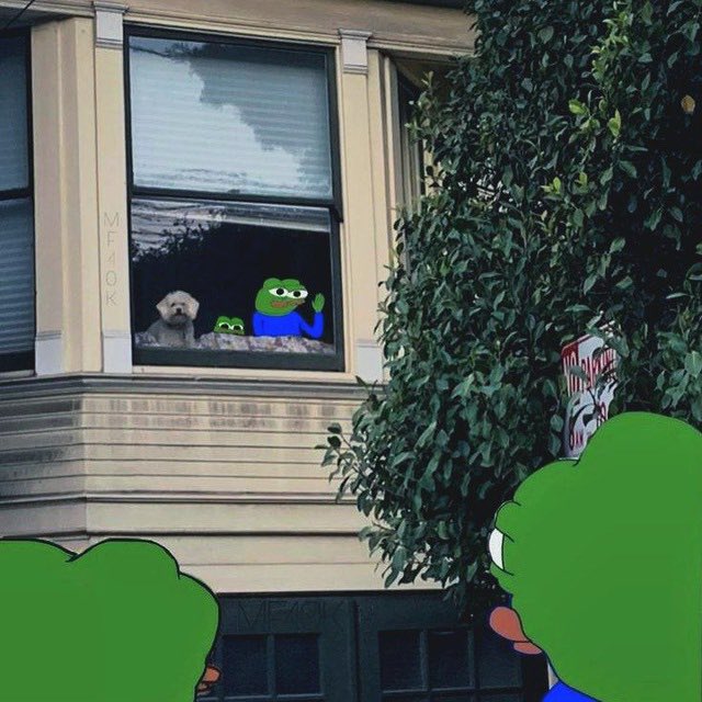 A small white dog sits in a window next to cartoon frog stickers, with larger frog graphics added in the foreground.
