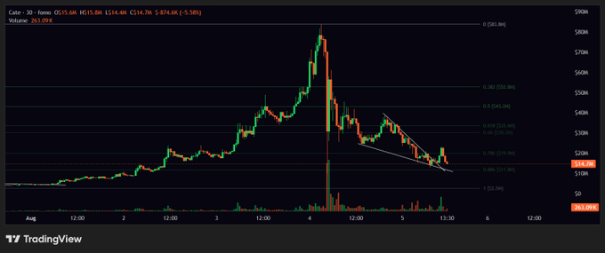 A TradingView chart of $CATE shows a dramatic 45% spike to a high near $74.78 around 9/4, followed by a sharp selloff into a descending channel as volume surged but price failed to break acceptance above the 0.786 Fibonacci retracement (~$36.20), closing near $14.78.