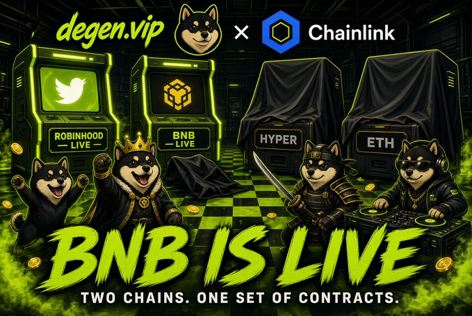 A promotional graphic for 'degen.vip x Chainlink' announcing 'BNB IS LIVE - TWO CHAINS. ONE SET OF CONTRACTS,' featuring cartoon Shiba Inu characters, BNB and Robinhood arcade machines, and covered Hyper and ETH machines.