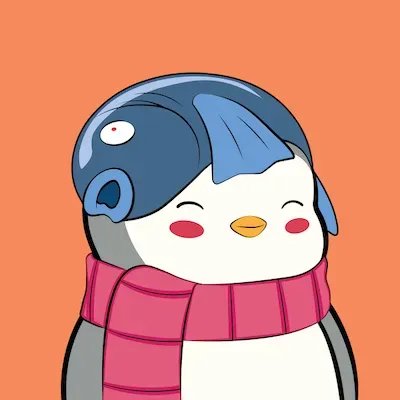 A cute cartoon penguin character wearing a blue shark hat and a pink scarf against an orange background.