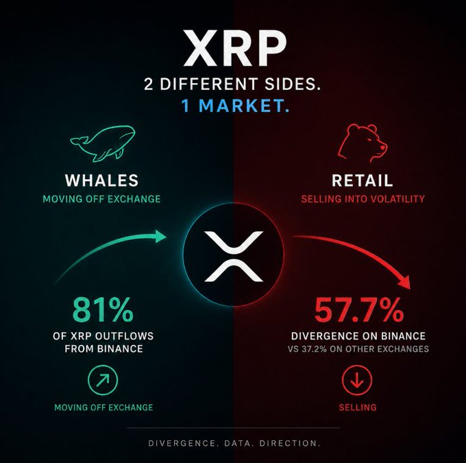 An infographic about XRP showing '2 DIFFERENT SIDES, 1 MARKET' with whales moving 81% of XRP off exchanges while retail shows 57.7% selling divergence on Binance, by 'Divergence. Data. Direction.'