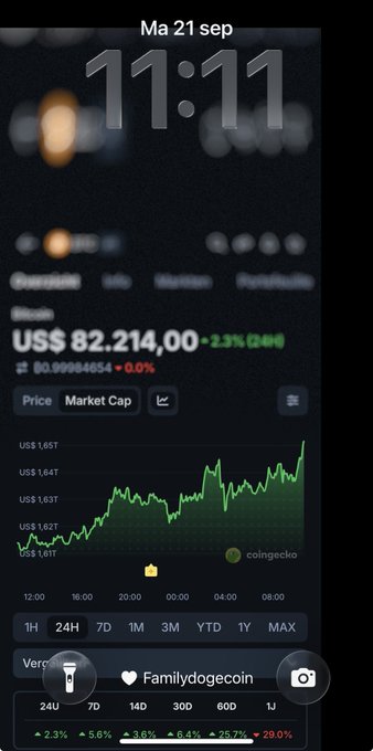 An iPhone home screen with a Dogecoin widget displaying a price of US$ 0.21400 (+2.3% 24H) and a green line chart showing price fluctuations, with the time showing 'Ma 21 sep 11:11'.