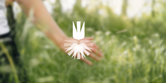 A blurred image of a hand reaching through green grass with a white flower/sunburst icon overlaid in the center.
