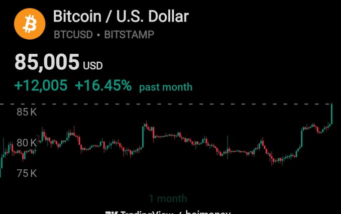 A Bitcoin to U.S. Dollar (BTCUSD on BITSTAMP) price chart shows the current price at $85,005 USD, up $12,005 or +16.45% over the past month.