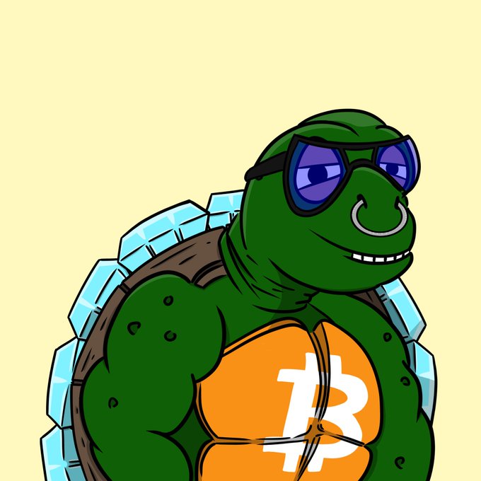 A cartoon illustration of a green turtle wearing sunglasses, holding a stack of gold coins featuring the Bitcoin '₿' logo, set against a pale yellow background.