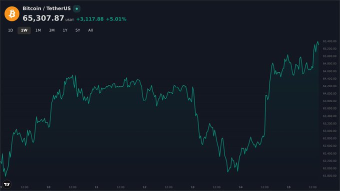 A TradingView line chart for Bitcoin / TetherUS (BTC/USDT) showing a price of $65,307.87, up 5.01% (+$3,117.88), with the 1-week view displayed on a dark background.
