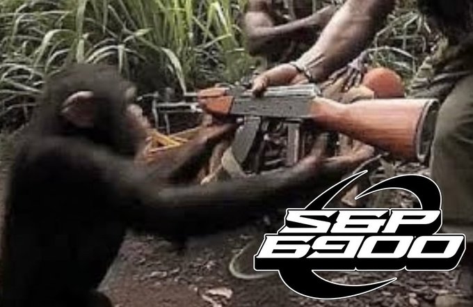 An image showing a chimpanzee appearing to fire an AK-47 rifle with the text 'SEP 6900' overlaid in the bottom right corner.
