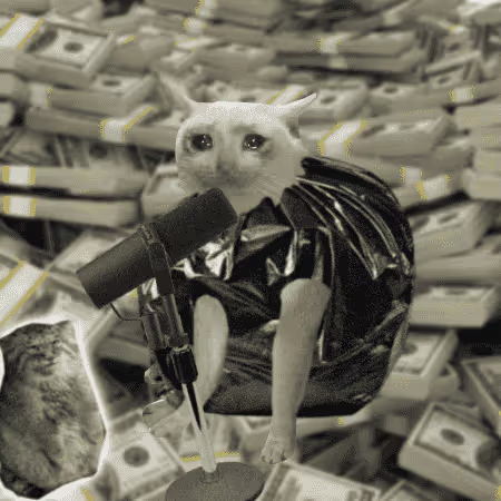 A black-and-white image shows a cat with a human-like expression wearing a dark jacket, hunched over a studio microphone, surrounded by stacks and stacks of dollar bills—a fitting visual metaphor for the "$CASHCAT" memecoin whose resilient comeback journey mirrors the lyrics of perseverance in the caption.