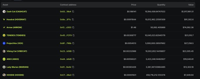 A dark-themed cryptocurrency portfolio table showing assets like Cash Cat (CASHCAT), Hoodrat (HOODRAT), Arrow (ARROW), TENDIES, Projective (VEX), Vibing Cat (VIBECAT), 4663, Lady Marian (MARIAN), and HOODIE, with columns for Contract address, Price, Quantity, and Value.