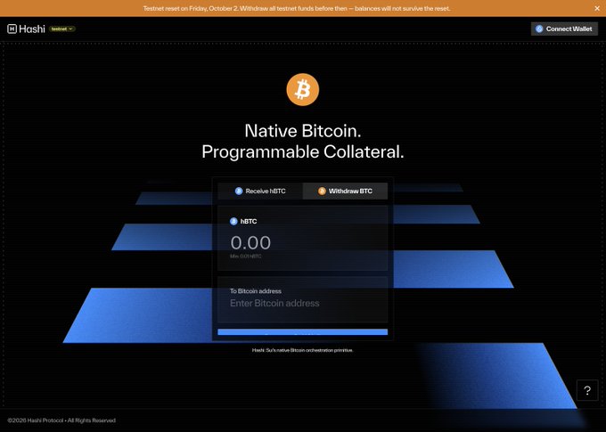 The image shows the Hashi Testnet interface with a banner warning that testnet balances will not survive the Friday, October 2 reset. It displays a balance of 0.00 hBTC and options to "Receive hBTC" and "Withdraw BTC," directly illustrating the post's warning to withdraw any remaining testnet hBTC before the reset wipes balances.