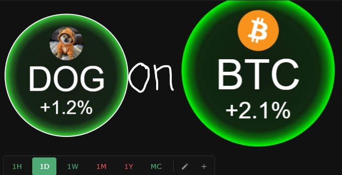 A cryptocurrency tracker showing DOG up 1.2% and BTC up 2.1% with time period options (1H, 1D, 1W, 1M, 1Y, MC).