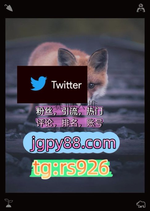 A promotional graphic featuring a fox with the Twitter logo, overlaid with Chinese text about fans, traffic, and rankings, plus the website "jgpy88.com" and Telegram handle "tg:rs926".