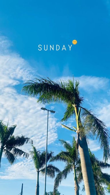 A low-angle shot of palm trees against a bright blue sky with clouds, overlaid with the text 'SUNDAY' and a small sun emoji.