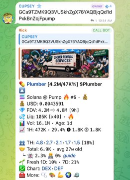 A Telegram chat screenshot from owner Rick shows a cryptocurrency contract address (GCa9TZMK9Q3VUkhZx7x76YAQBjqQdtdPxkBnZojFpump) with a Pump and Plumber token showing a 4.2M market cap (47% on Plumber).