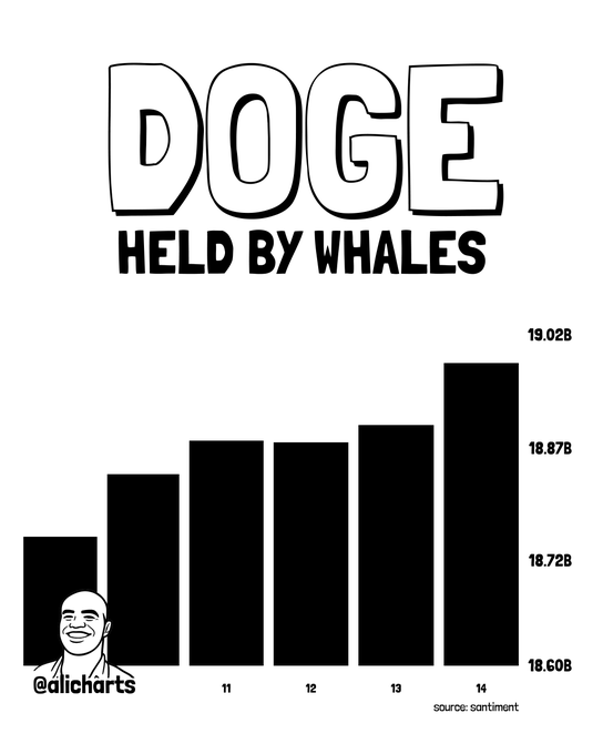 A bar chart titled "DOGE HELD BY WHALES" shows Dogecoin whale holdings increasing from approximately 18.6B to 19.02B over a five-day period (days 10-14), illustrating the accumulation trend referenced in the post about whales buying the dip. The chart is credited to @alicharts with data sourced from santiment.