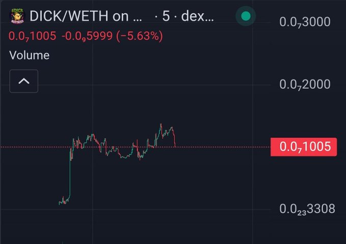 Financial chart displaying the price action for the 'DICK/WETH' cryptocurrency pair, showing a price of '0.0,3000' with a 5.63% drop and a volume area indicator at the bottom.