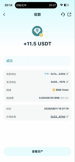 A Chinese mobile cryptocurrency wallet interface shows a successful receipt of +11.5 USDT, displaying the receiving/sending addresses, BNB Chain network, a network fee of 0.00036145 BNB ($0.22), and a transaction timestamp of 2026/08/11 19:37:19.