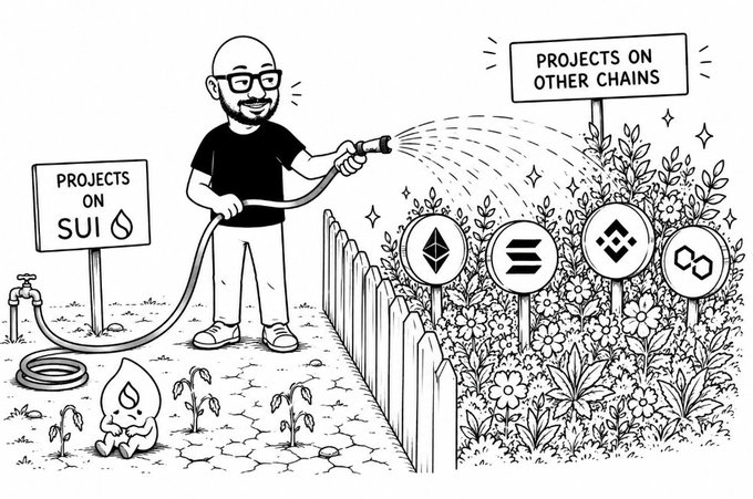 A black and white cartoon illustration depicting a man watering small 'Projects on SUI' seedlings with a hose while lush 'Projects on Other Chains' (Ethereum, Solana, BNB) flourish across a fence.