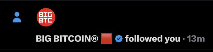 A notification banner showing 'BIG BITCOIN®' with a red flag and blue checkmark displaying 'followed you · 13m' on a black background.