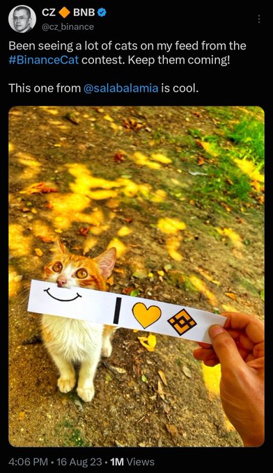 A screenshot of a tweet from CZ (CZ 🔶 BNB @cz_binance) that says 'Been seeing a lot of cats on my feed from the #BinanceCat contest. Keep them coming! This one from @salabalamia is cool,' featuring a photo of an orange and white cat looking at a hand holding a paper showing a smiley face, heart, and Binance logo.