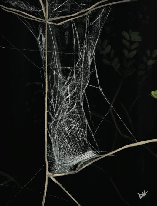A nighttime photograph showing an intricate spider web stretched between thin tree branches against a dark background, with faint green leaves visible on the right.