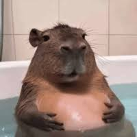A relaxed capybara soaking in a bathtub, paired with the caption "Ansem rn" by @blknoiz06, humorously suggesting the calm expression mirrors the vibe of the popular online personality Ansem.
