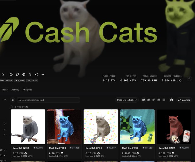 Screenshot of a 'Cash Cats' NFT marketplace page on Hood Chain displaying 9,995 items with a floor price of 0.28 ETH, top offer of 0.263 WETH, and total volume of 709.96 ETH.