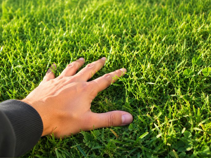 A close-up of a hand with light skin reaching out to touch lush green grass, with the person wearing a black sleeve.