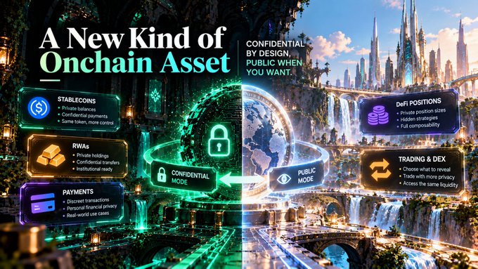 Infographic titled "A New Kind of Onchain Asset" showcasing Stablecoins, RWAs, Payments, DeFi Positions, and Trading & DEX with a "Confidential by Design, Public When You Want" toggle between Confidential and Public Mode.
