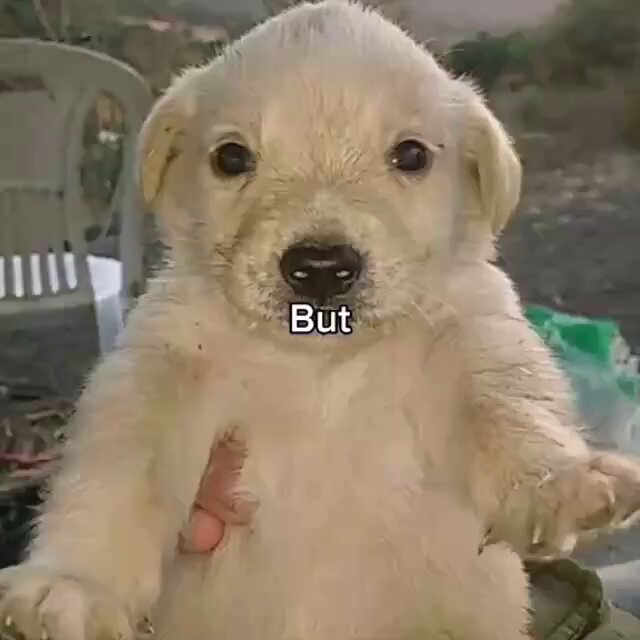 None