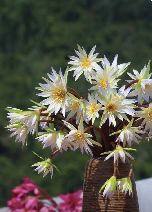 A close-up of a bouquet of white and yellow star-shaped flowers in a wooden vase, with pink flowers blurred in the foreground and green foliage in the background.