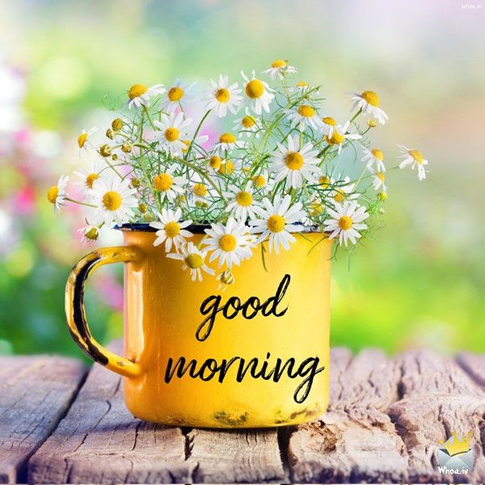 The image features a yellow mug filled with white flowers, including daisies, placed on a wooden table. The text "Good morning" is written on the mug, indicating that it's a good morning message or greeting. The background of the photo shows a blurred garden scene, which complements the overall theme and adds to the peaceful atmosphere. The image also includes a watermark at the bottom that reads "www.whoahia.com".